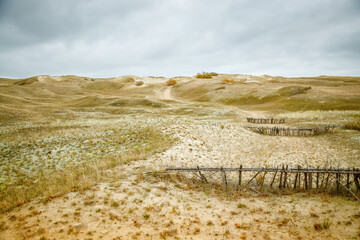 The Dead Dunes in Lithuania's Curonian Spit, featuring vast sand dunes with sparse greenery under a...