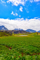 Hochtannbergpass in Warth (Vorarlberg, Österreich)	
