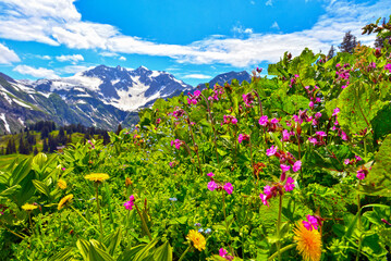 Das Lechquellengebirge in Vorarlberg (Österreich)