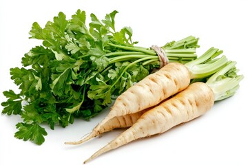 Fresh parsley and parsnips, showcasing vibrant herbs and root vegetables for culinary use.