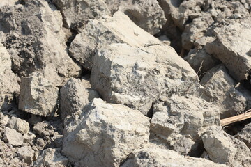 ploughed soil texture in summer