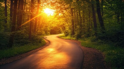 Fototapeta premium Golden sunrise over a winding road through the forest, evoking the beauty of nature.