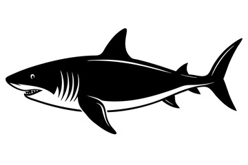 shark isolated on white