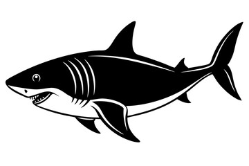 shark cartoon isolated on white