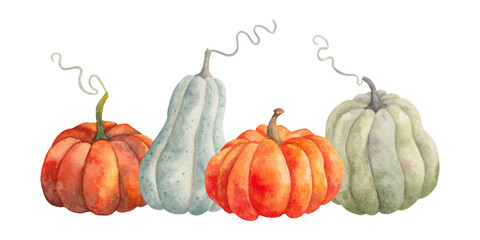 Horizontal autumn pumpkin composition. Watercolor illustration. Hand drawn isolated botanical banner. Healthy vegetable food. Template for seasonal harvest festivals,Thanksgiving,Halloween
