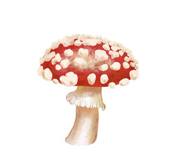 Fly agaric watercolor illustration. Hand drawn forest inedible red mushroom on isolated background.
