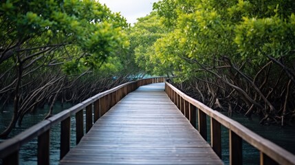 Obraz premium a wooden boardwalk leading through a lush mangrove forest 