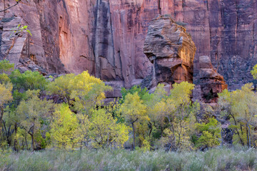 View of Pulpit Rock in Zion National Park