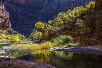 The Virgin River flows through Zion National Park in Utah