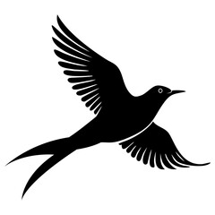 Flock of birds flying