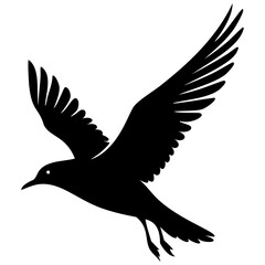 Flock of birds flying