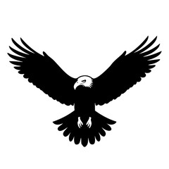 Obraz premium eagle in flight