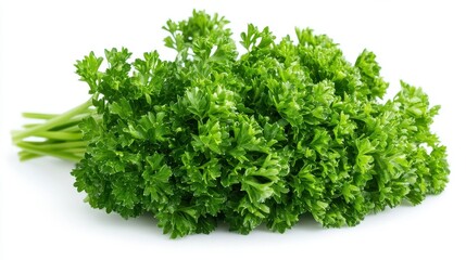 Obraz premium A fresh bunch of parsley, commonly used as a culinary herb for flavor and garnish.
