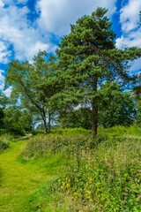 Obraz premium Lickey Hills country Park West Midlands England UK.