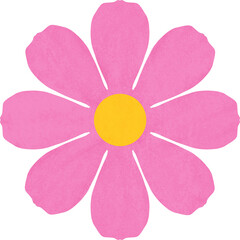 분홍색 코스모스