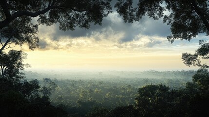 Fototapeta premium A panoramic view of a dense forest canopy, with layers of trees stretching out to the horizon under a cloudy sky.
