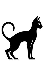 Halloween SVG, Trick or treat SVG, Ghost SVG, Witch SVG, Black Cat SVG, Scary SVG, Pumpkin SVG, Holiday SVG, Jack o Lantern, Halloween Silhouette, Halloween Vector, Clipart, Cut file for Cricut, JPG