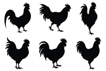 Set of rooster silhouette vectors. isolated  on white background.