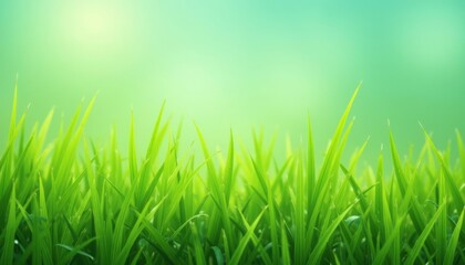 Vibrant green grass a symbol of growth and renewal