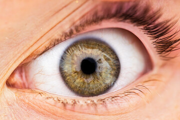 Close-Up of a Human Eye