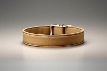 Buckle belt accessories accessory.