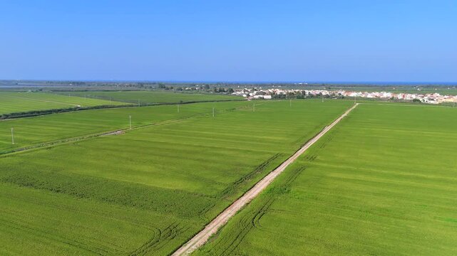 Vista aerea dei campi di riso nel parco dell'Albufera di Valencia, Spagna. 
Ettari di risaie sulla Costa Blanca poco fuori la citt&agrave;.