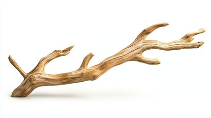 A natural driftwood branch with a smooth texture and organic shape.