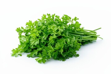 Obraz premium A fresh bunch of cilantro, commonly used as a culinary herb.