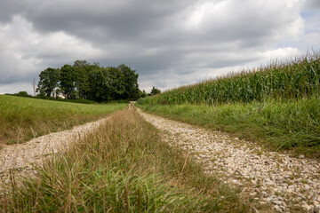 Obraz premium Langer Weg 2