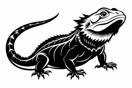 black and white bearded dragon reptile clip art preview