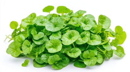 A pile of fresh green leaves, likely used in salads or culinary dishes.