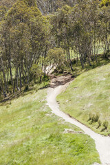 Thredbo Mountain Biking in Australia