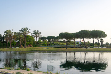 Lakes Park, Rota. Province of Cadiz. Spain. Europe.
