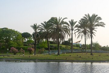Lakes Park, Rota. Province of Cadiz. Spain. Europe.