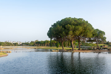 Lakes Park, Rota. Province of Cadiz. Spain. Europe.