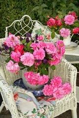 pink roses still life in a vase on a white wicker chair outdoors in a garden
