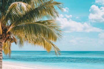 Fototapeta premium Summer Resort Beach Sea Relax Travel Vacation Palm Tropic Copy Space Banner Background Hotel , ai
