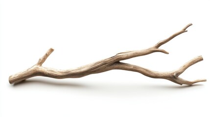 A smooth, natural branch with multiple extensions, ideal for decorative or crafting purposes.