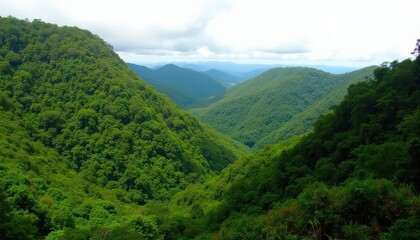 Vast verdant mountain valley under a cloudy sky