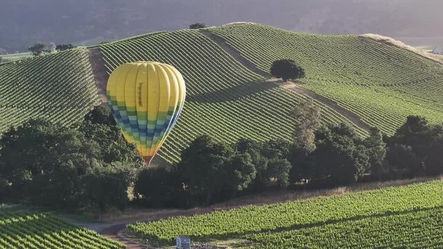 Aerial view of picturesque vineyard and rolling hills with a hot air balloon in the sky, location unknown, United States.