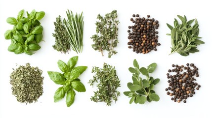 Obraz premium A variety of fresh herbs and spices arranged aesthetically for culinary use.