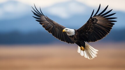 Obraz premium Bald eagle soaring in the sky with mountains in the background..