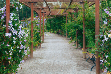 Charming flower covered walkway in Orebro City Park, lush greenery and flowers over a wooden pergola. Relaxation and nature beauty concept. Orebro, Sweden. Copy space