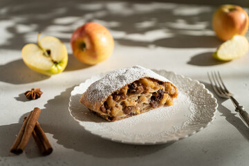Freshly baked powdered apple strudel with raisins on white plate with red apples and cinnamon on light background with hard shadows. homemade Apfelstrudel, austrian germany cuisine. Menu, recipe
