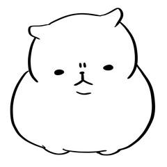 Angry Cat