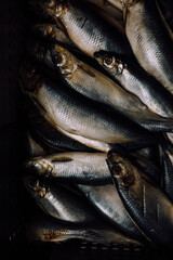 Freshly caught herring