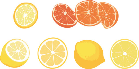 ector illustration of different citrus fruits, including lemons and grapefruits, in various cuts and slices. Perfect for use in food blogs, recipes, and healthy eating content.