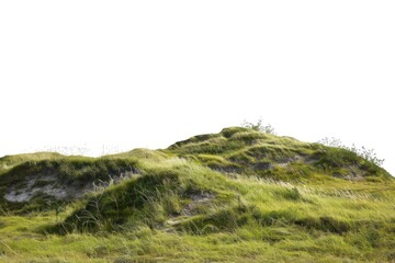 Green grassy hill landscape nature