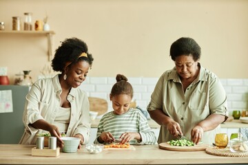 Medium shot of happy African American family of young smiling mother, daughter and grandmother...