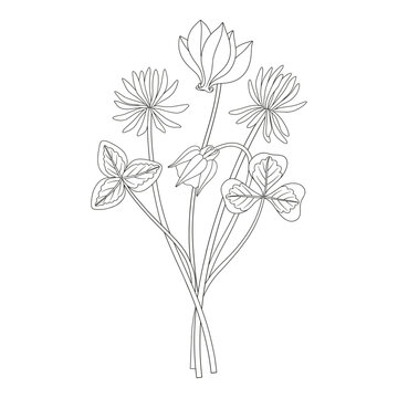 line art bouquet flowers and clovers clip art preview